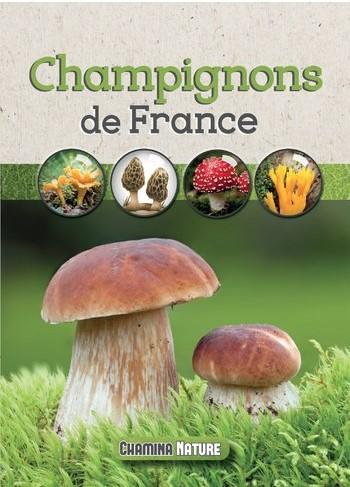 Guide des champignons - Côté nature (French Edition)