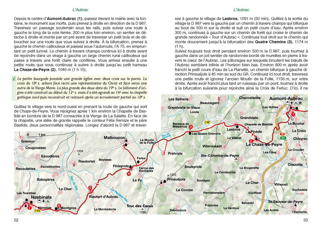 Guide de randonnée - Chemin de St Jacques (la Via Podiensis du Puy-en-Velay aux Pyrénées) | Rother guide de randonnée Rother 