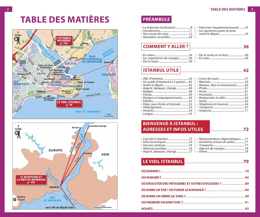 Guide du Routard - Istanbul et le Bosphore 2024/25 | Hachette guide de voyage Hachette 