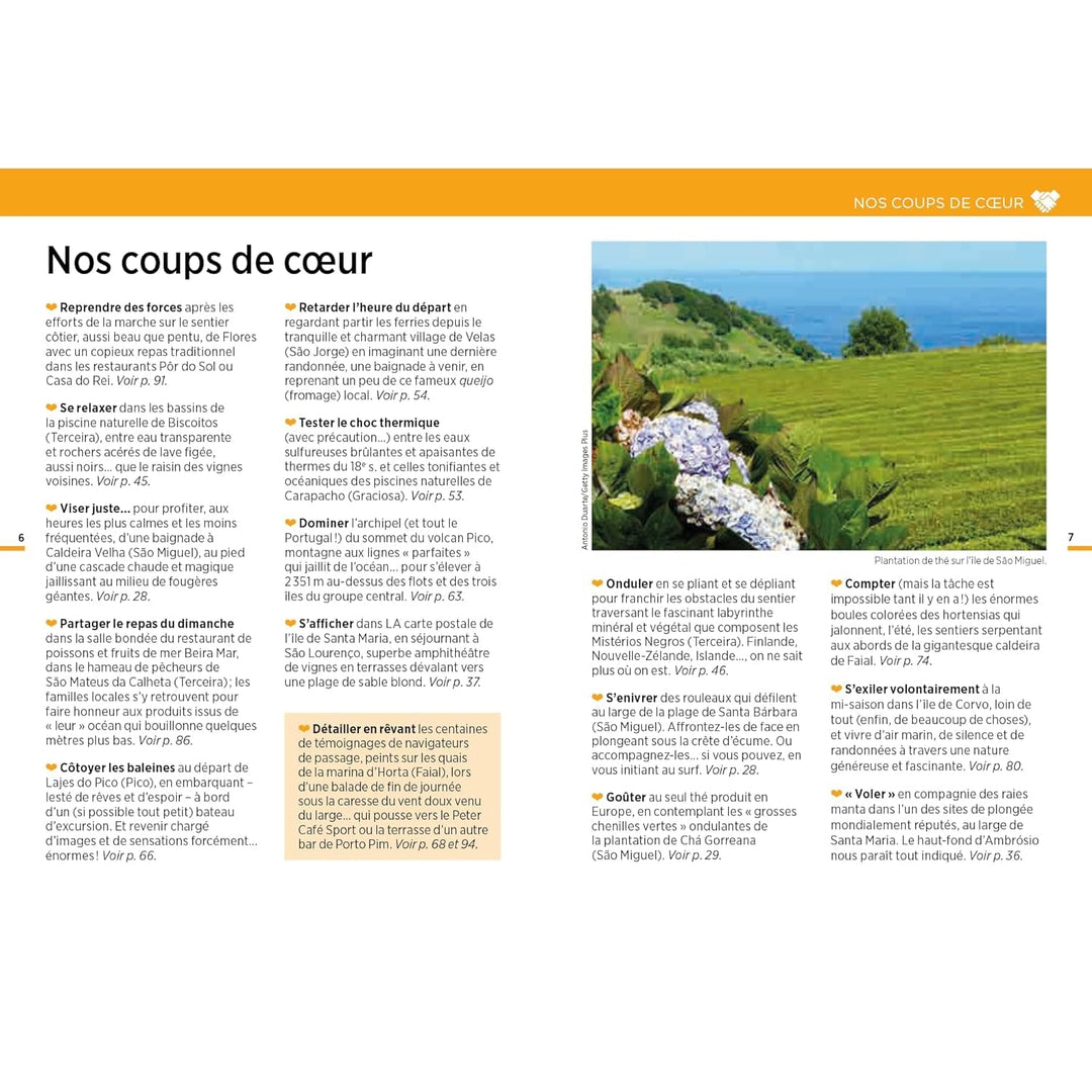 Guide Vert Week & GO - Açores + plan - Édition 2024 | Michelin guide de voyage Michelin 
