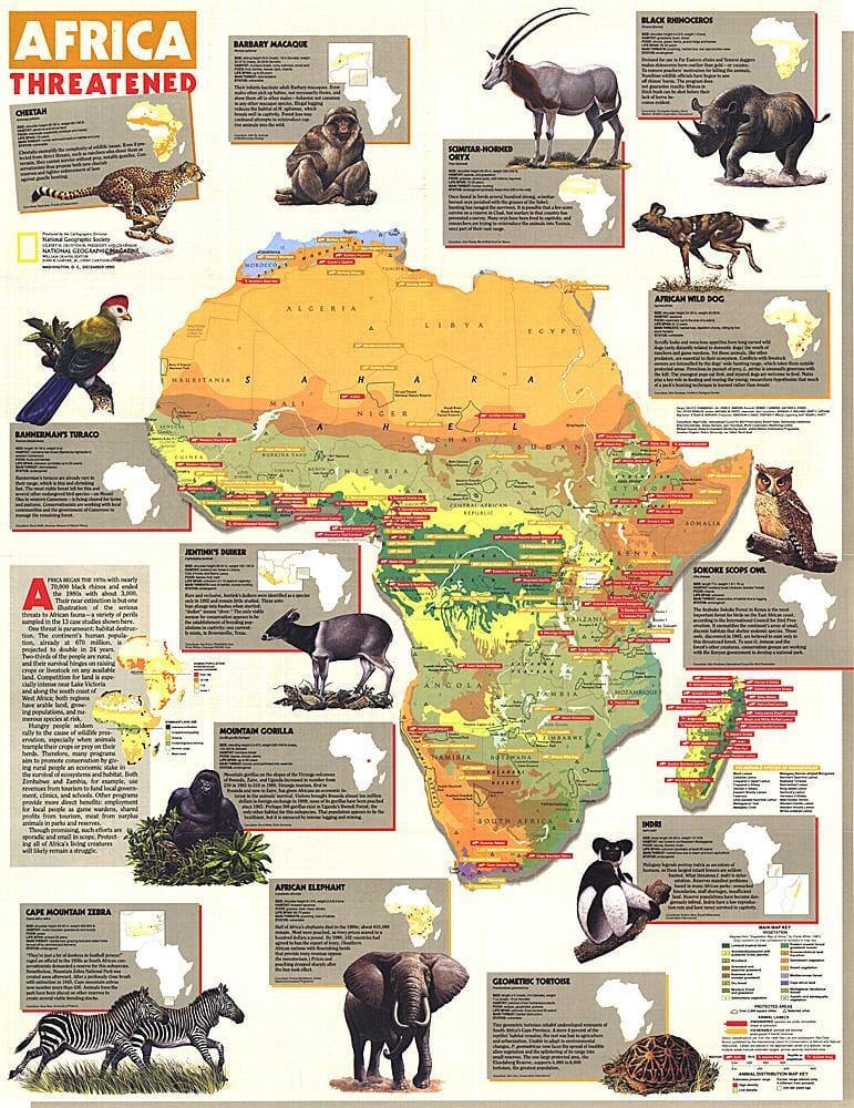 1990 Africa Threatened Map Wall Map 