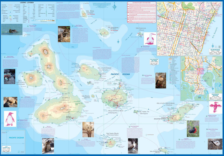Carte de voyage - Iles Galapagos & Plans de Quito et Guayaquil (Equateur) | ITM carte pliée ITM 