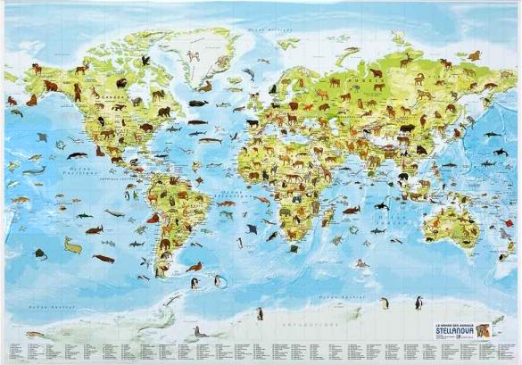 Carte murale illustrée pour enfants - Les animaux du monde | Stellanova carte murale petit tube Stellanova papier 