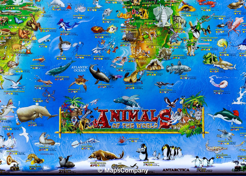 Carte murale pour enfants - Les animaux du monde (plastifiée, en anglais) | Dino - La Compagnie des Cartes