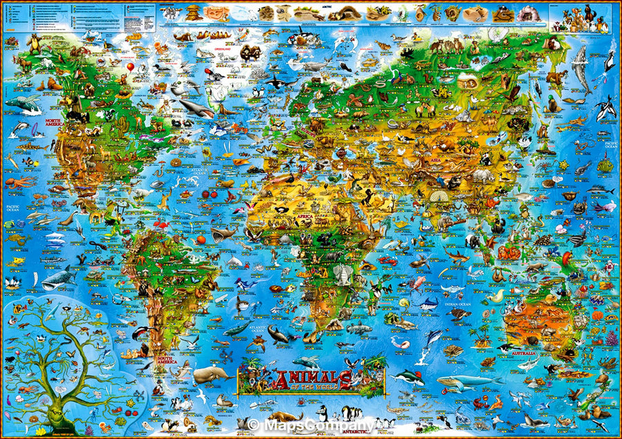 Cartes murales du Monde et Mappemondes pour enfants  La Compagnie des  Cartes – La Compagnie des Cartes - Le voyage et la randonnée