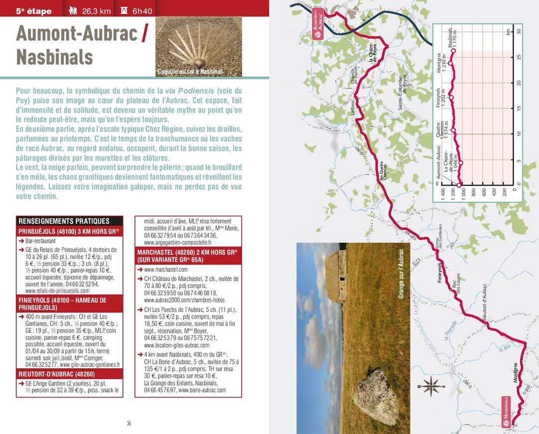 Guide de poche - Compostelle, du Puy aux Pyrénées | Rando Editions guide de randonnée Rando Editions 