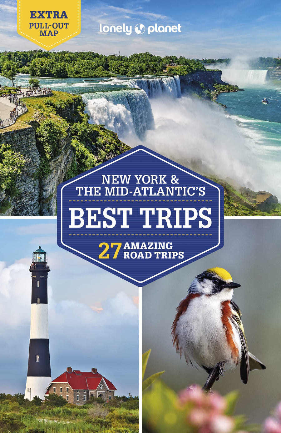 Guide de voyage (en anglais) - New York & the Mid-Atlantic's | Lonely Planet guide de voyage Lonely Planet 