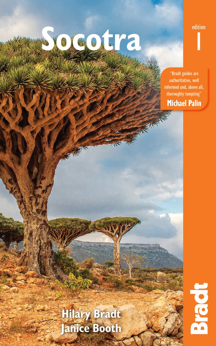 Guide de voyage (en anglais) - Socotra (Yemen) - Édition 2020 | Bradt guide de voyage Bradt 