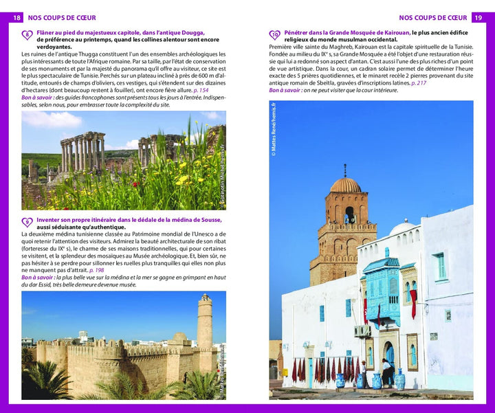 Guide du Routard - Tunisie 2023/24 | Hachette guide de voyage Hachette 