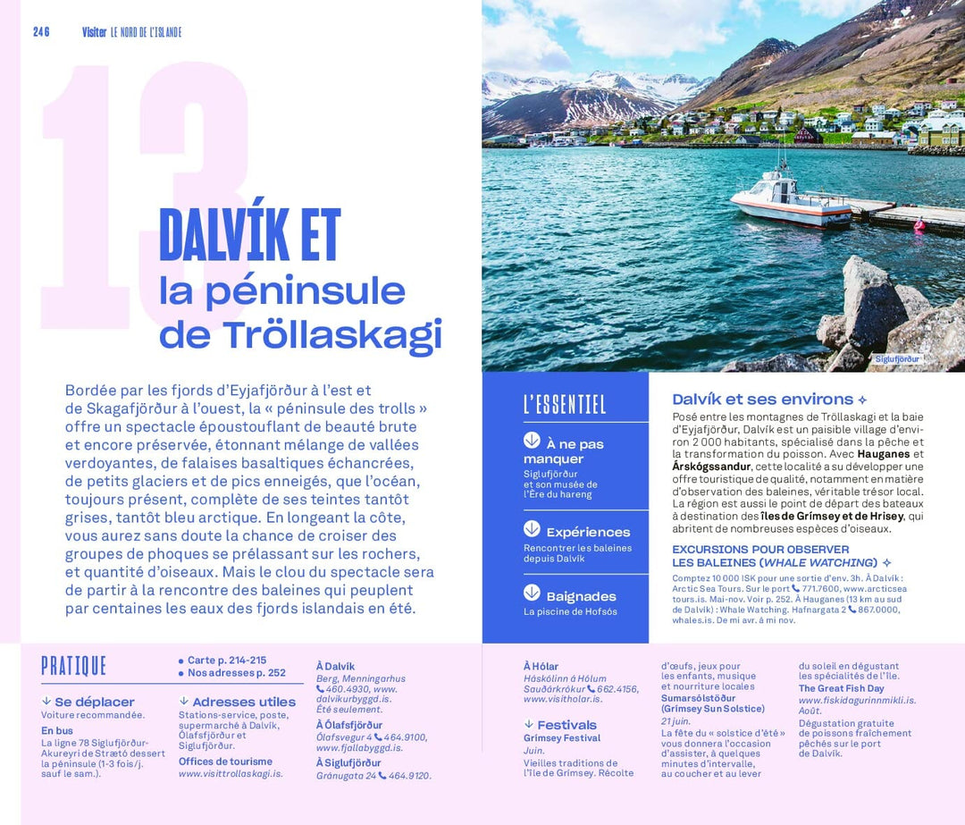 Guide Evasion - Islande - Édition 2023 | Hachette guide de voyage Hachette 