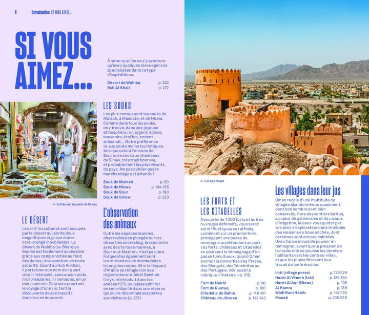 Guide Evasion - Oman - Édition 2023 | Hachette guide de voyage Hachette 