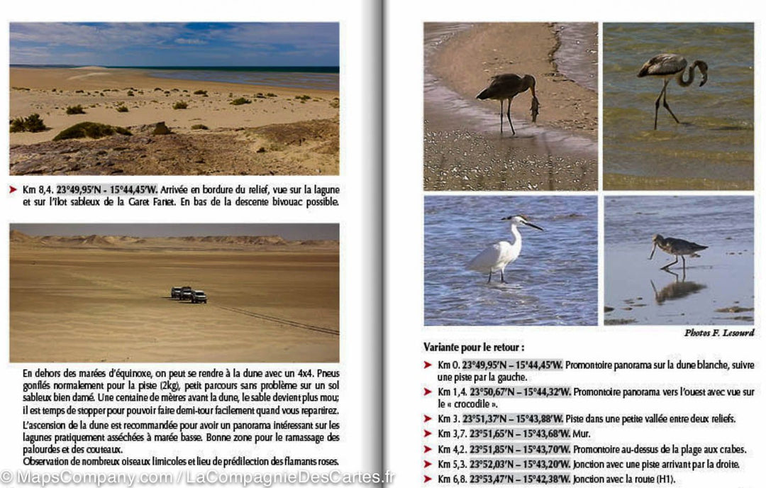 Guide Gandini - Pistes du sud du Maroc : Le Sahara Atlantique - Tome 6 - La Compagnie des Cartes